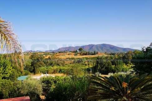 Villa-Country-House-frontgarden-vista-Alhaurin-el-Grande-Malaga-Spain-Magnificasa