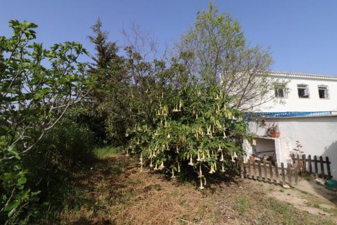 Casa-Junto-la-paca-jardin-back-side1-Magnificasa-Alhaurin-el-Grande