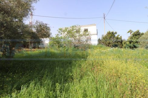 Casa-Junto-la-paca-jardin-terrain-view-casa-Magnificasa-Alhaurin-el-Grande